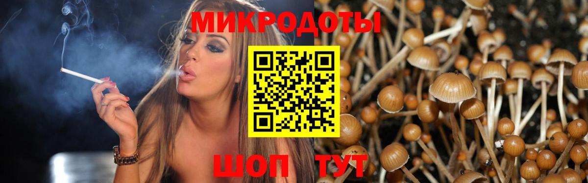 Галлюциногенные грибы GOLDEN TEACHER Вышний Волочёк